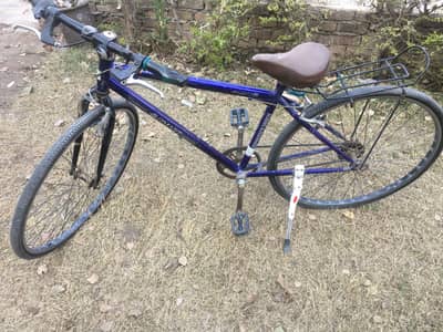 Japanese sport bicycle