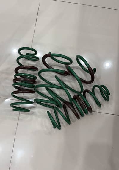 Teins lowering springs