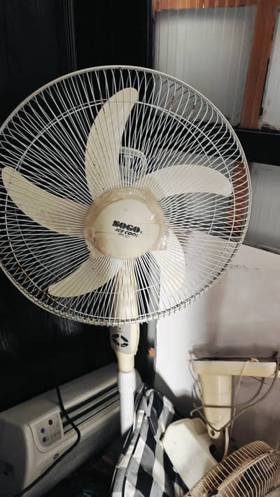 new fan