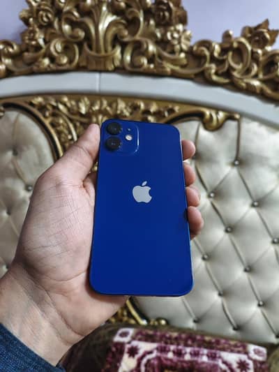 Iphone 12 Mini 128 GB waterproof