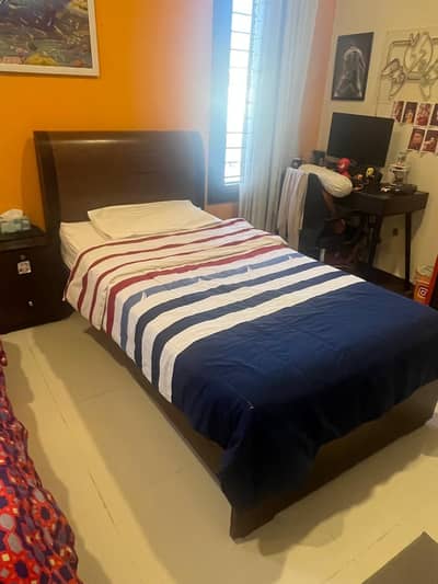 Premium quality habitt beds