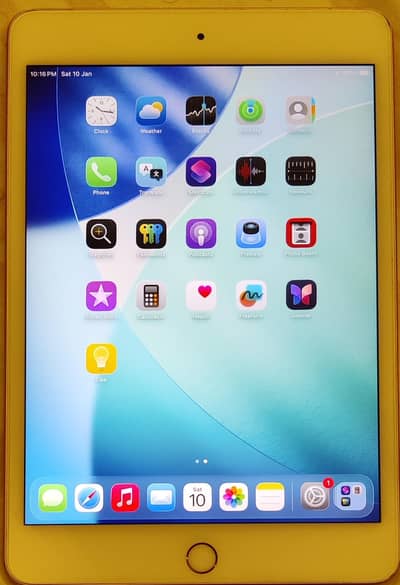 iPad Mini (5th Generation)  Mobile Data Number and wi-fi