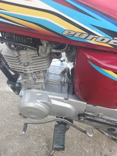 call&Whatsapp 03059706644