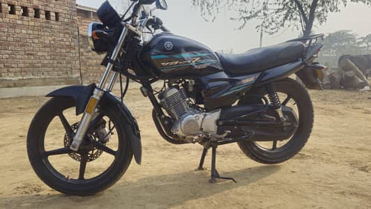 black colour document original