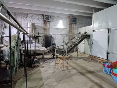 French Fries Production Line (Automatic-200Kg/hr) & Cold Storage