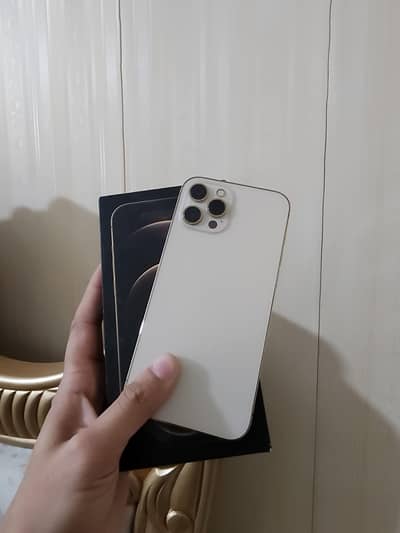 Iphone 12 pro max 256gb pta approved