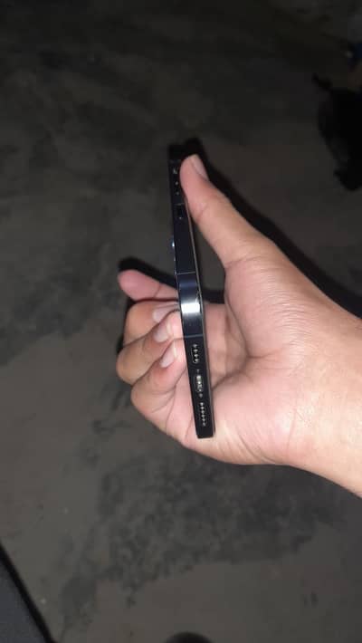 iPhone 12 Pro Max nonpta