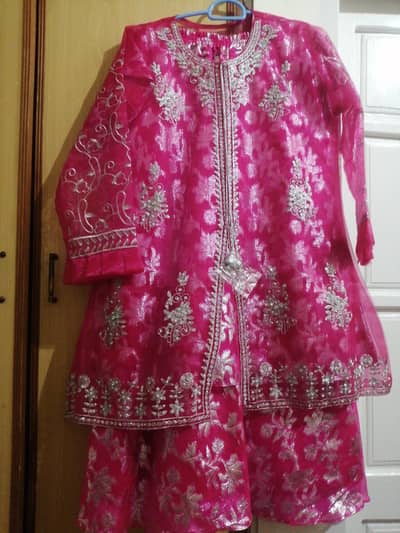 pink and silver 4 piece net clothing premium condition