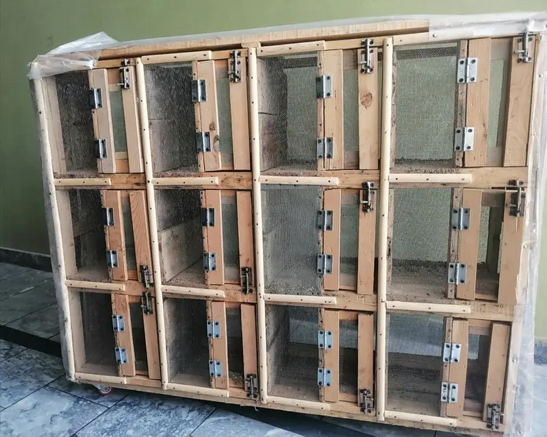 12 khano wala cage pinjra wood
