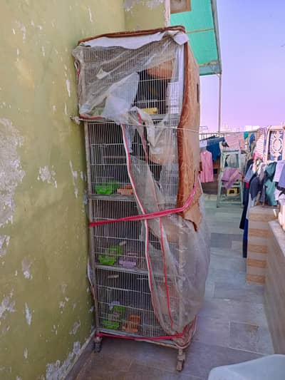 cage and lovebirds sell