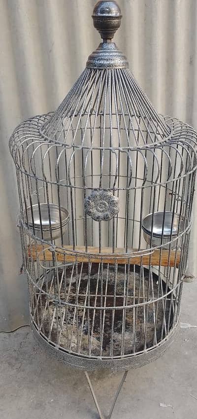 ring neck pair cage for sell