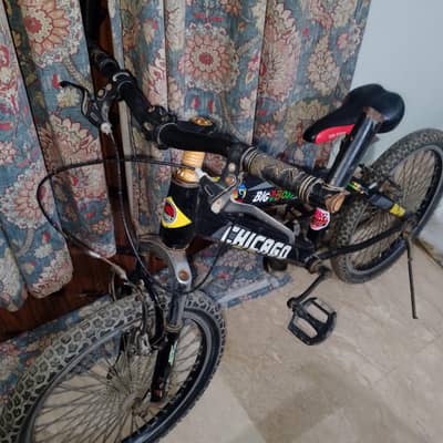 urgent sale Chicago age 10/15