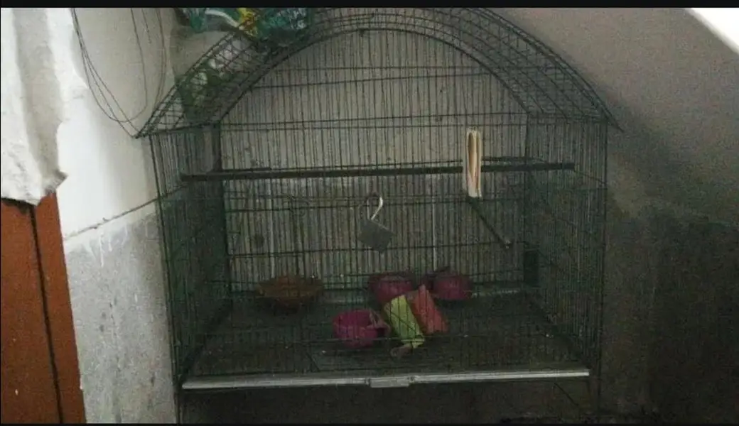 Strong Iron Parrot Cage with Tray & Heavy Rods — photo 4