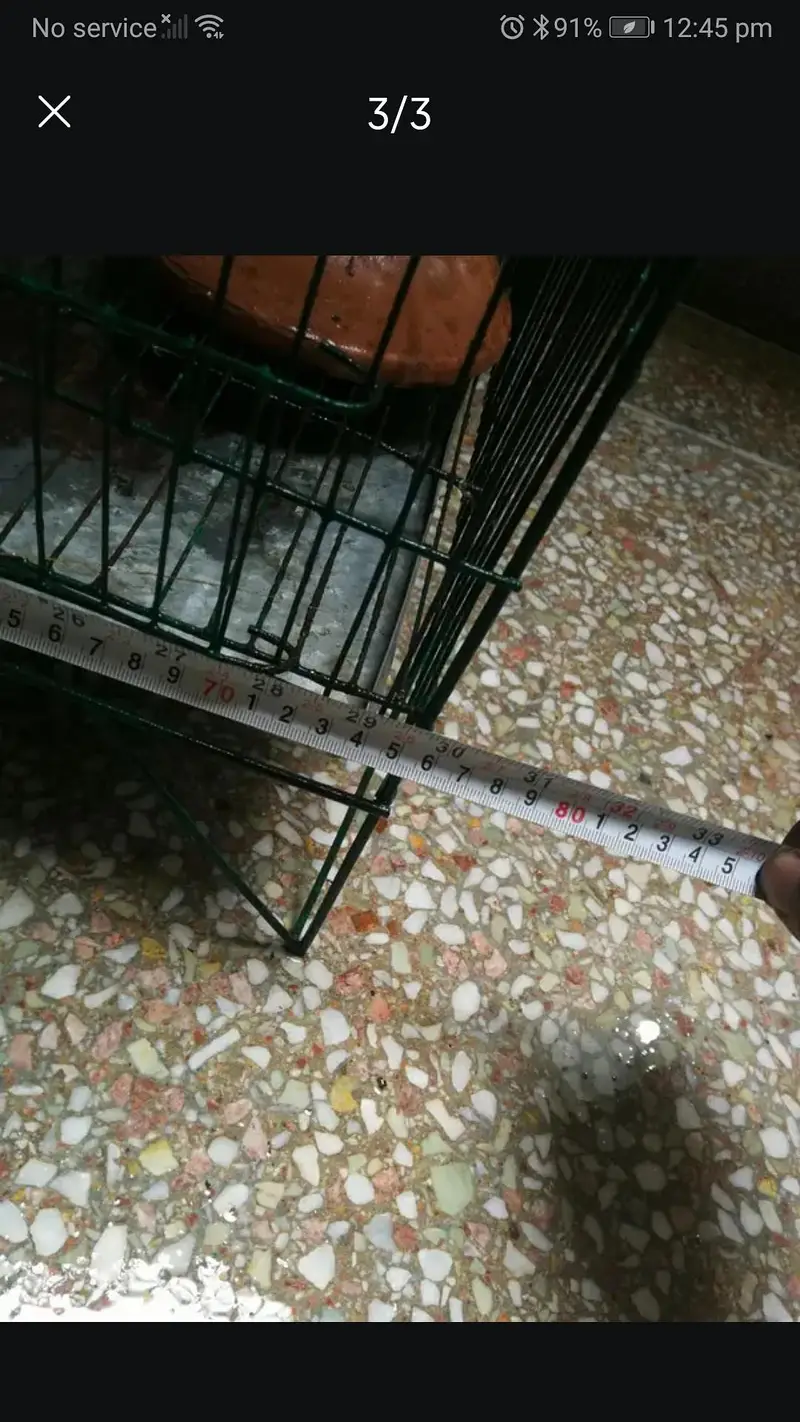 Strong Iron Parrot Cage with Tray & Heavy Rods — photo 5