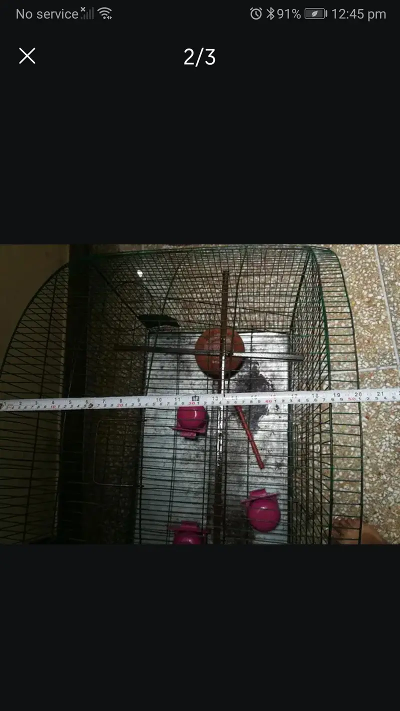 Strong Iron Parrot Cage with Tray & Heavy Rods — photo 6