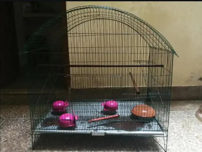 Strong Iron Parrot Cage with Tray & Heavy Rods — photo 7