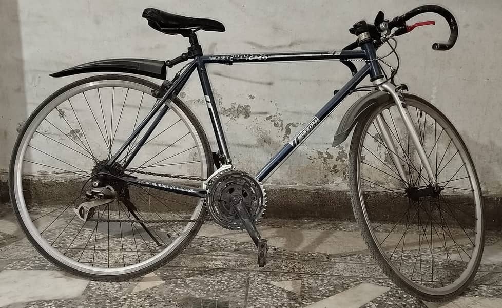 rode bicycle,zero,three,one,one,zero,zero,zero,one,three,nine,zero 0