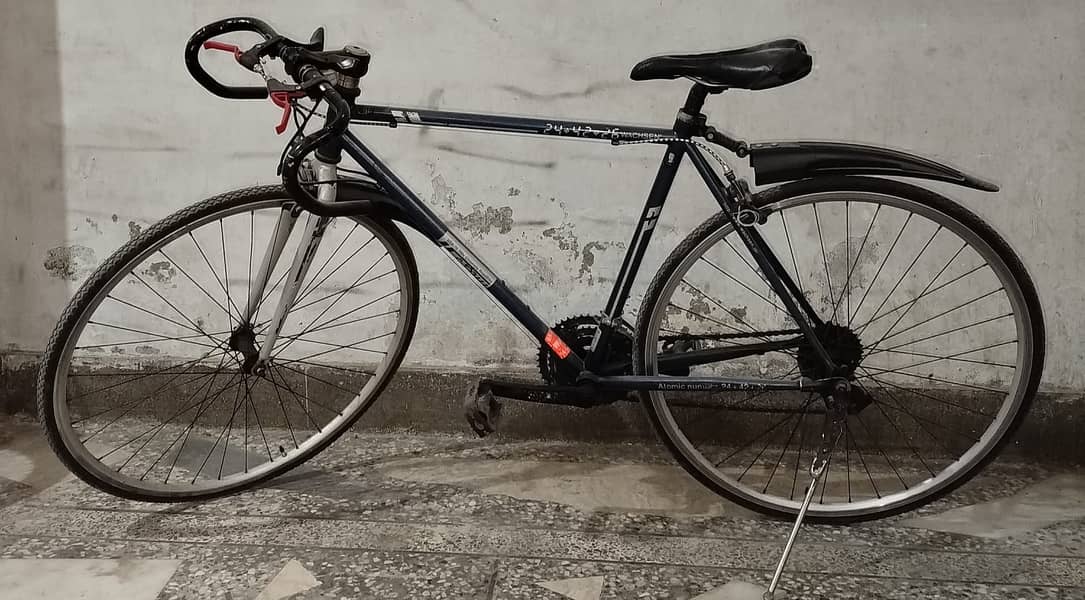 rode bicycle,zero,three,one,one,zero,zero,zero,one,three,nine,zero 1