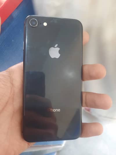 This is my only watsapp number