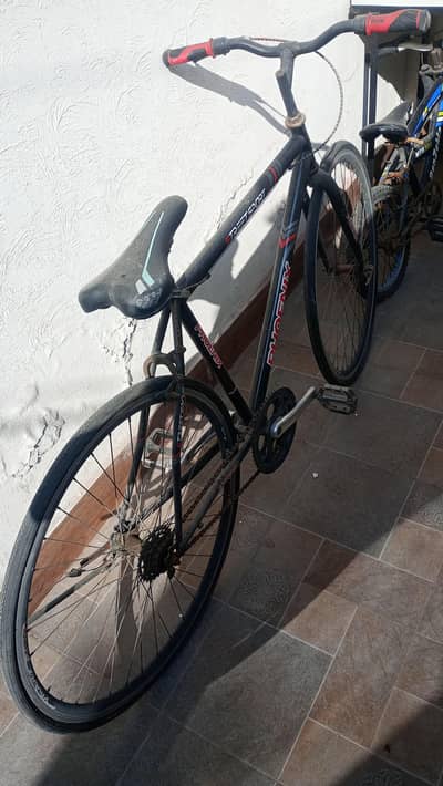 Phoenix Racing Bicycle