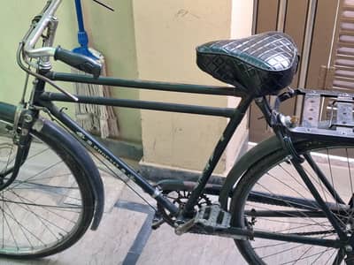 phoenix China full size cycle