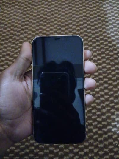 Iphone 12pro 256 gb non jv