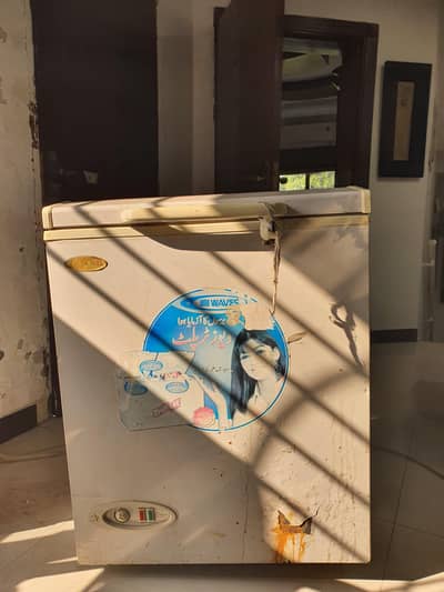 WAVES Single Door For Sale