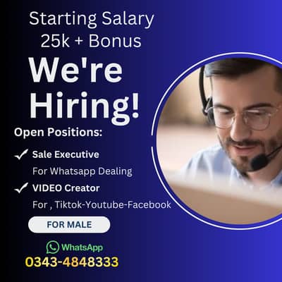 SaleExecutive (whatsapp Dealing)