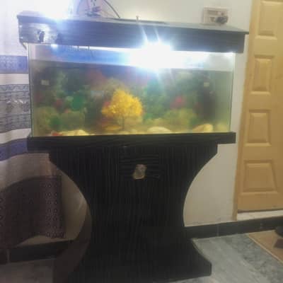 fish aquarium 4 feet height 3.5 feet width