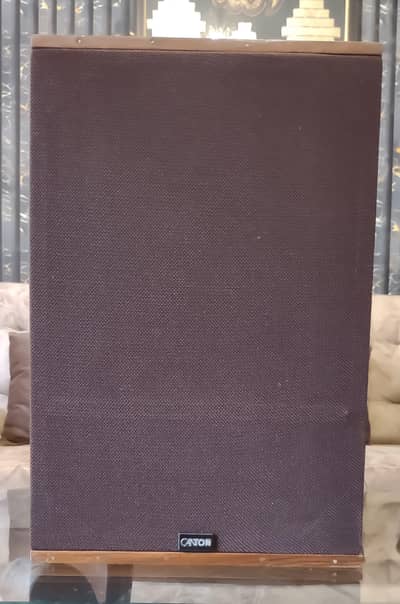 Canton Passive Woofer