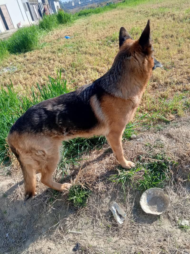 Staf code feemall 10