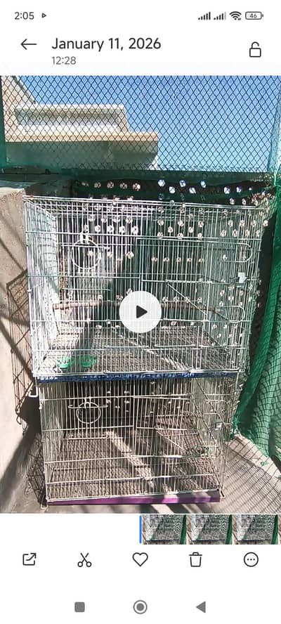 Cage and Accessories