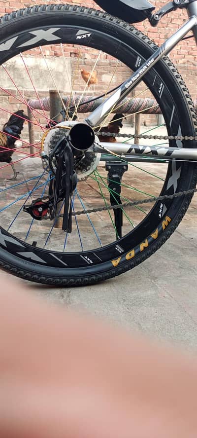 mountain imported bicycle