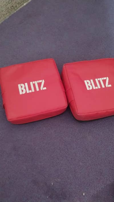 These are Blitz martial arts focus pads.  (imported)