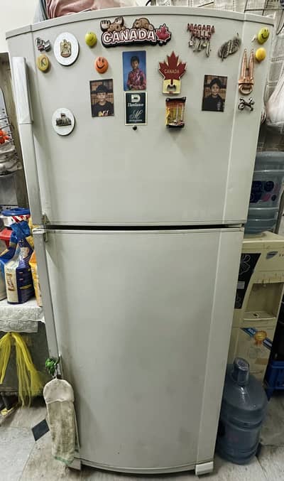 Dawlance Refrigerator Jumbo Size