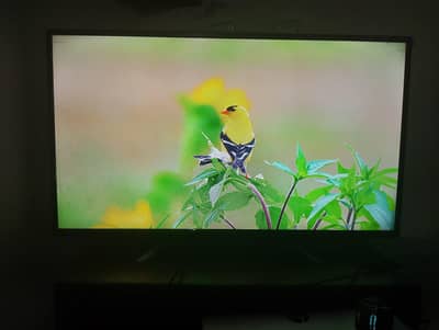 Samsung 40 Inch Full HD LED TV | Genuine Condition