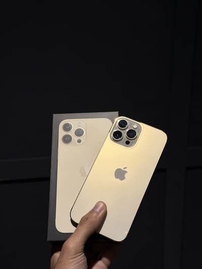 iPhone 13 Pro Max PTA Approved