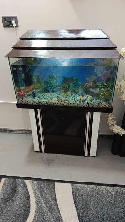Full Fish Aqurium For Sale With All Accecories