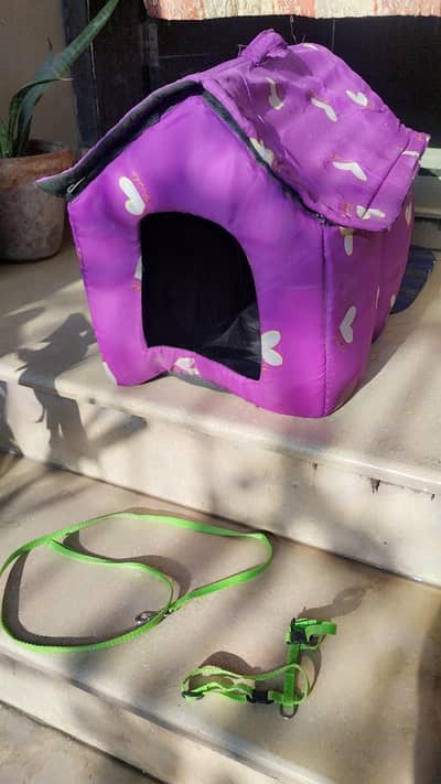 Cat House , Cat holding strip with house , cat house and holding strip