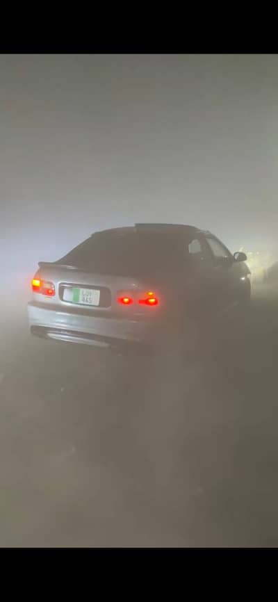 Dolphin ferio model (03164414298)