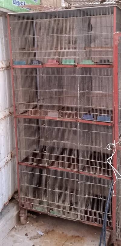 12 portion  8 portion cages