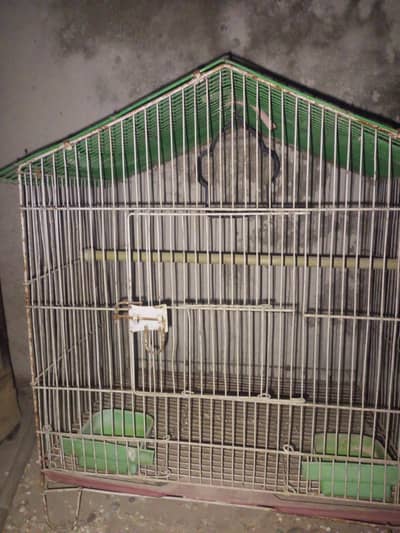 Two cages with tray