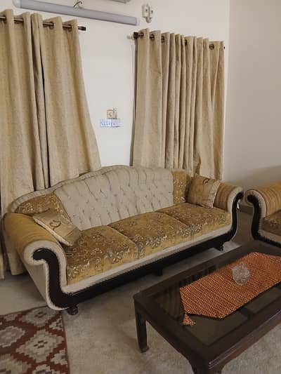 Sofa Extraordinary immaculate home used