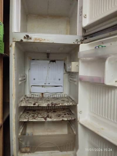 haier,dawlance freezers