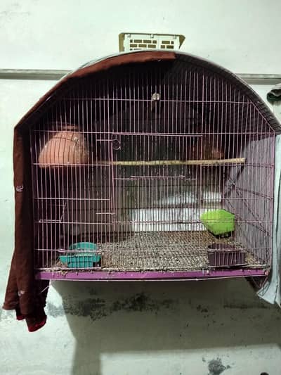 Australian Parrots Cage