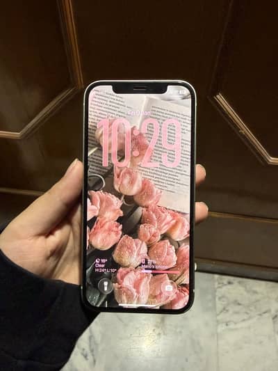 Iphone 12 128 gb Pta approved