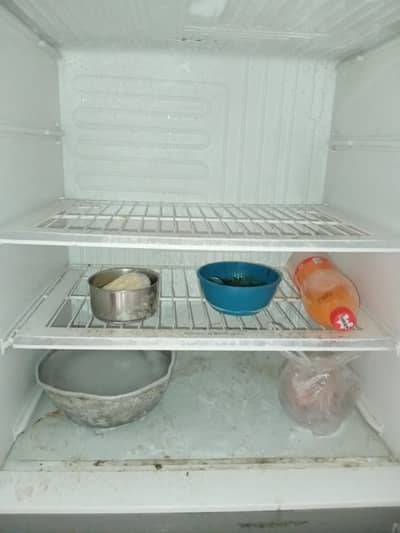 pel fridge 14 cubek