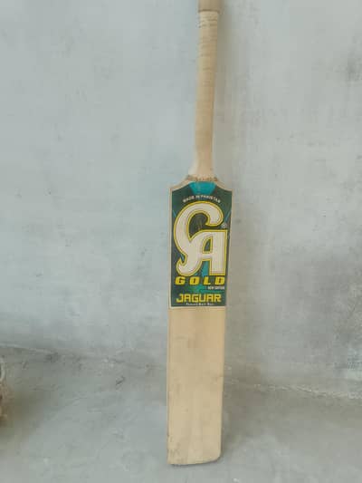 BAT For Sale!