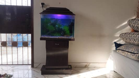 fish aqruim urgent sale good condition