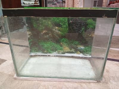 2 by 1 Aquarium for sell 8mm glass me h